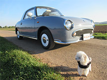 nissan figaro 215x161